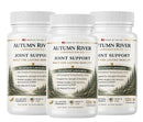Autumn River - Joint Support